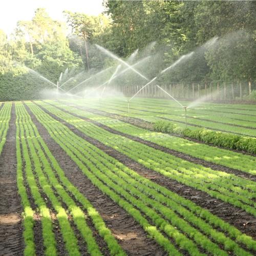 Ahorra energía con Bombas de Agua Solares